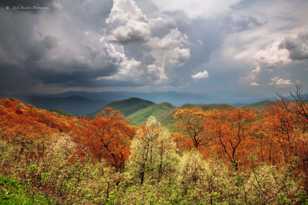 The Smokey Mountains-9043.jpg